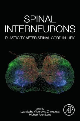 bokomslag Spinal Interneurons