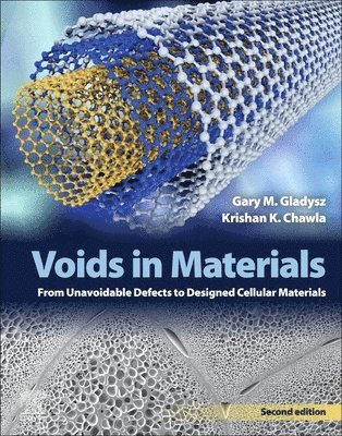 bokomslag Voids in Materials