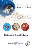 Md Saquib Hasnain, Sarwar Beg, Amit Kumar Nayak - Chitosan in Drug Delivery, Häftad