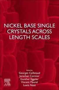 bokomslag Nickel Base Single Crystals Across Length Scales