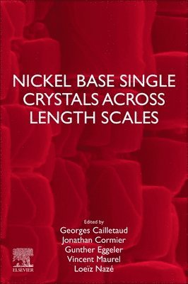 Nickel Base Single Crystals Across Length Scales 1