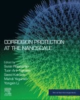 Susai Rajendran, Saeid Kakooei, Mahdi Yeganeh, Yongxin Li, Tuan Anh Nguyen - Corrosion Protection at the Nanoscale, Häftad