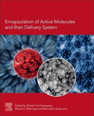 Encapsulation of Active Molecules and Their Delivery System 1