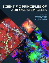 bokomslag Scientific Principles of Adipose Stem Cells