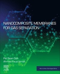 bokomslag Nanocomposite Membranes for Gas Separation