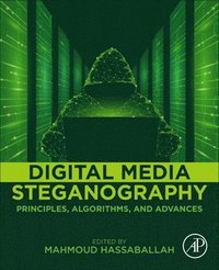 bokomslag Digital Media Steganography