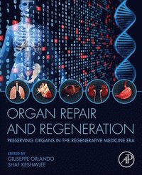 bokomslag Organ Repair and Regeneration