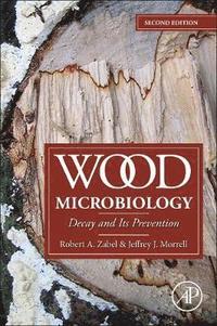 bokomslag Wood Microbiology