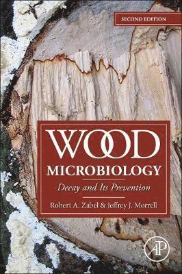 Wood Microbiology 1