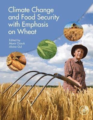bokomslag Climate Change and Food Security with Emphasis on Wheat