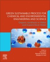 Inamuddin, Rajender Boddula, Abdullah M. Asiri - Green Sustainable Process for Chemical and Environmental Engineering and Science, Häftad