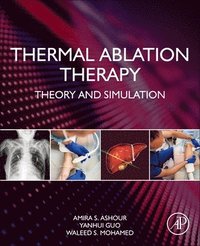 bokomslag Thermal Ablation Therapy