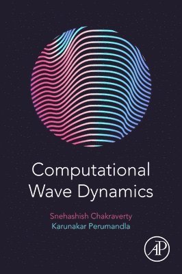 Snehashish Chakraverty, Karunakar Perumandla - Computational Wave Dynamics, Häftad