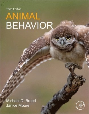 bokomslag Animal Behavior