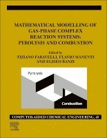 Tiziano Faravelli, Flavio Manenti - Mathematical Modelling of Gas-Phase Complex Reaction Systems: Pyrolysis and Combustion, Inbunden