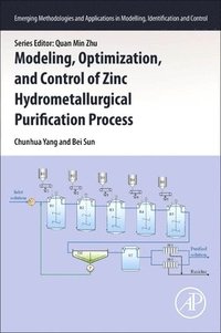 bokomslag Modeling, Optimization, and Control of Zinc Hydrometallurgical Purification Process