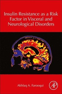 bokomslag Insulin Resistance as a Risk Factor in Visceral and Neurological Disorders