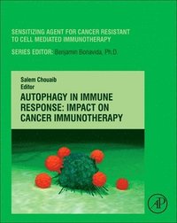 bokomslag Autophagy in Immune Response: Impact on Cancer Immunotherapy