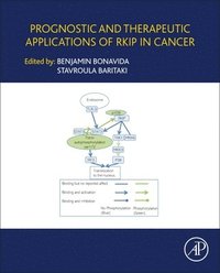 bokomslag Prognostic and Therapeutic Applications of RKIP in Cancer
