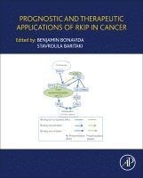 Benjamin Bonavida, Stavroula Baritaki - Prognostic and Therapeutic Applications of RKIP in Cancer, Inbunden
