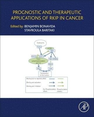 Prognostic and Therapeutic Applications of RKIP in Cancer 1