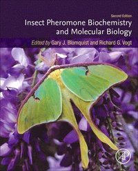 bokomslag Insect Pheromone Biochemistry and Molecular Biology