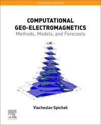 bokomslag Computational Geo-Electromagnetics