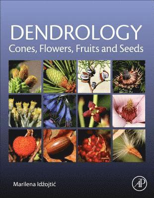 Dendrology: Cones, Flowers, Fruits and Seeds