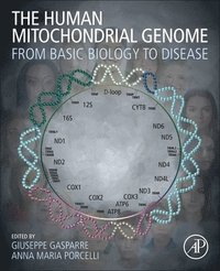 bokomslag The Human Mitochondrial Genome