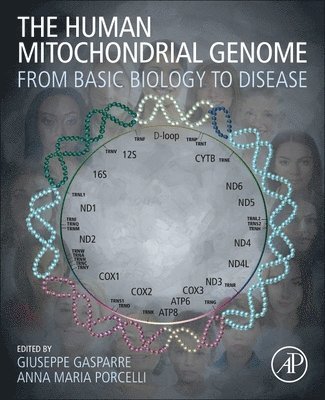 bokomslag The Human Mitochondrial Genome