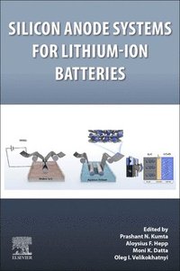 bokomslag Silicon Anode Systems for Lithium-Ion Batteries
