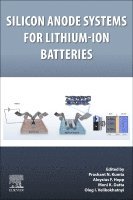 Prashant N. Kumta, Aloysius F. Hepp, Moni K. Datta, Oleg I. Velikokhatnyi - Silicon Anode Systems for Lithium-Ion Batteries, Häftad