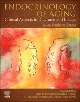 Emiliano Corpas, Marc R. Blackman, Ricardo Correa, S. Mitchell Harman, Antonio Ruiz-Torres - Endocrinology of Aging, Häftad