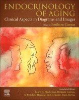 Endocrinology of Aging 1