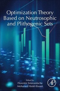 bokomslag Optimization Theory Based on Neutrosophic and Plithogenic Sets