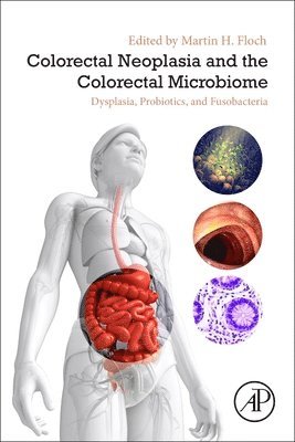 bokomslag Colorectal Neoplasia and the Colorectal Microbiome