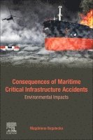 bokomslag Consequences of Maritime Critical Infrastructure Accidents