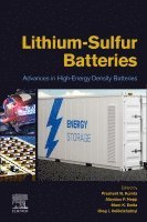 Prashant N. Kumta, Aloysius F. Hepp, Moni K. Datta, Oleg I. Velikokhatnyi - Lithium-Sulfur Batteries, Häftad
