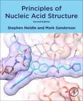 Stephen Neidle, Mark Sanderson - Principles of Nucleic Acid Structure, Häftad