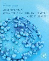 Ahmed El-Hashash - Mesenchymal Stem Cells in Human Health and Diseases, Häftad