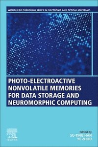 bokomslag Photo-Electroactive Non-Volatile Memories for Data Storage and Neuromorphic Computing