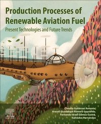 bokomslag Production Processes of Renewable Aviation Fuel