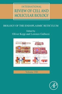 International Review of Cell and Molecular Biology 1