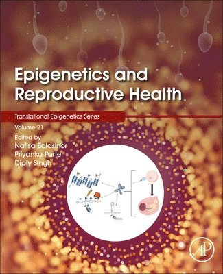 bokomslag Epigenetics and Reproductive Health