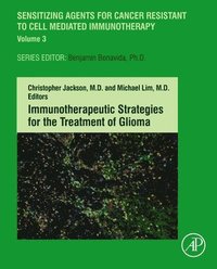 bokomslag Immunotherapeutic Strategies for the Treatment of Glioma