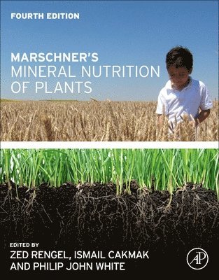 Marschner's Mineral Nutrition of Plants 1