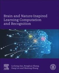 bokomslag Brain and Nature-Inspired Learning, Computation and Recognition