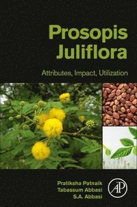 bokomslag Prosopis Juliflora