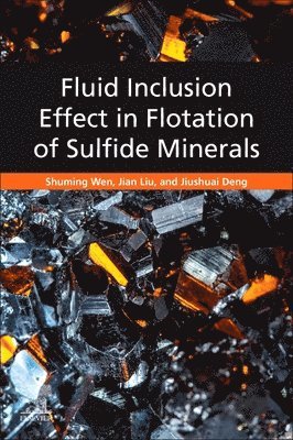 bokomslag Fluid Inclusion Effect in Flotation of Sulfide Minerals