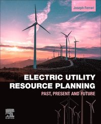 bokomslag Electric Utility Resource Planning